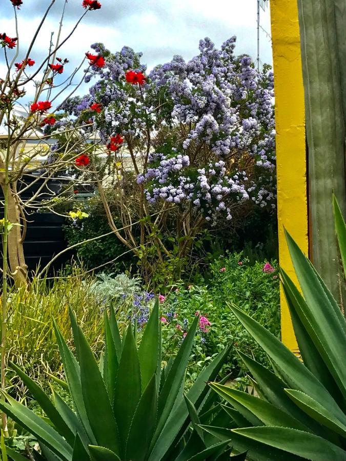 Sinclair Cottage بورت لينكولن المظهر الخارجي الصورة